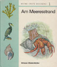 Am Meeresstrand