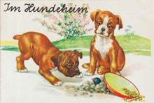 1492 F/60 - Im Hundeheim