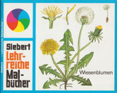 Wiesenblumen