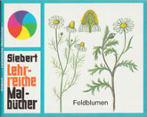 Feldblumen