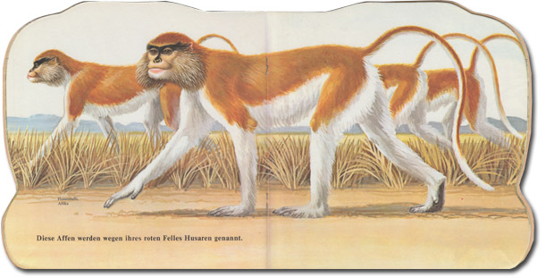 Band 6202: Das Affen-Buch - Innenseiten